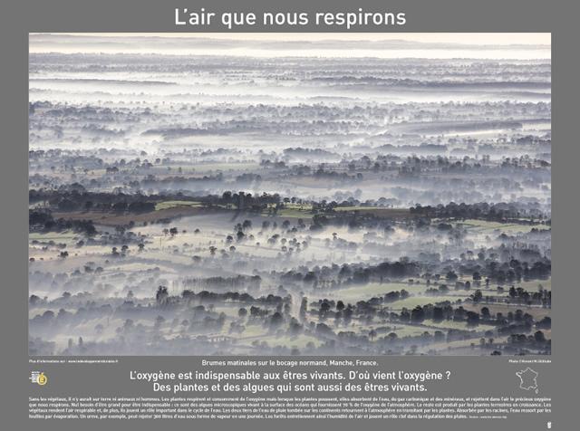 P2007 14L'airQueNousRespirons 